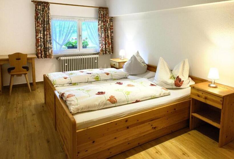 １ベッドルームアパートメント, Gasthaus Pension Zum Löwen