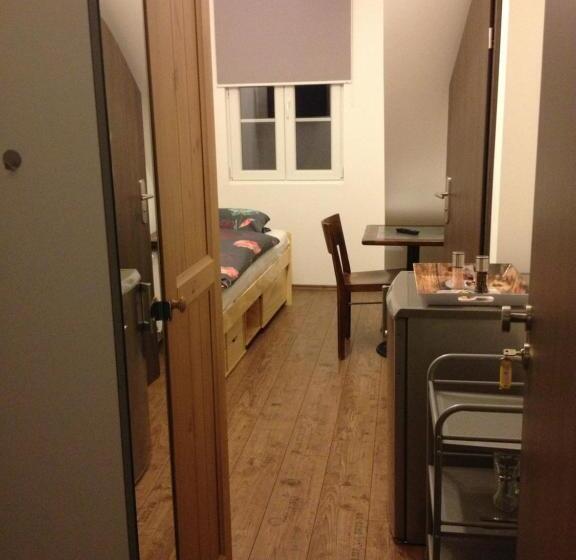 Standard Yhden Hengen Huone, Old Town Guesthouse Erlangen