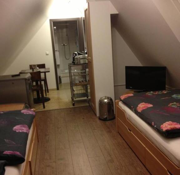 Standard-studio, Old Town Guesthouse Erlangen