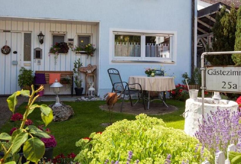 Номер Стандарт, Pension Merbald