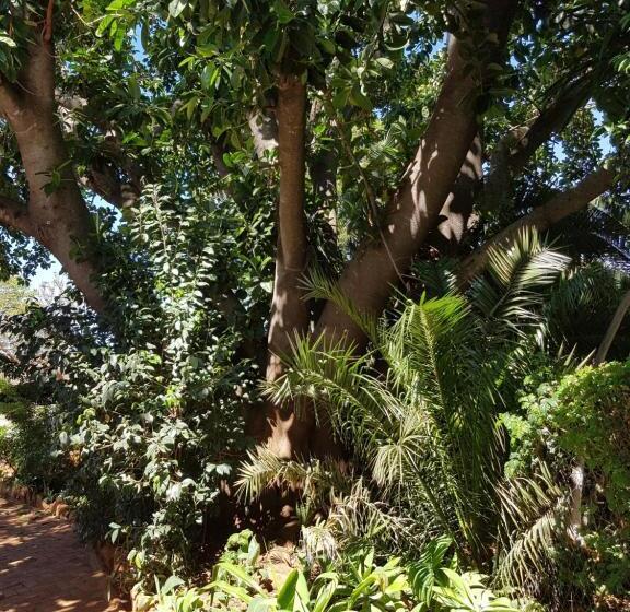 سوییت, Burnham Road Suite Guest House