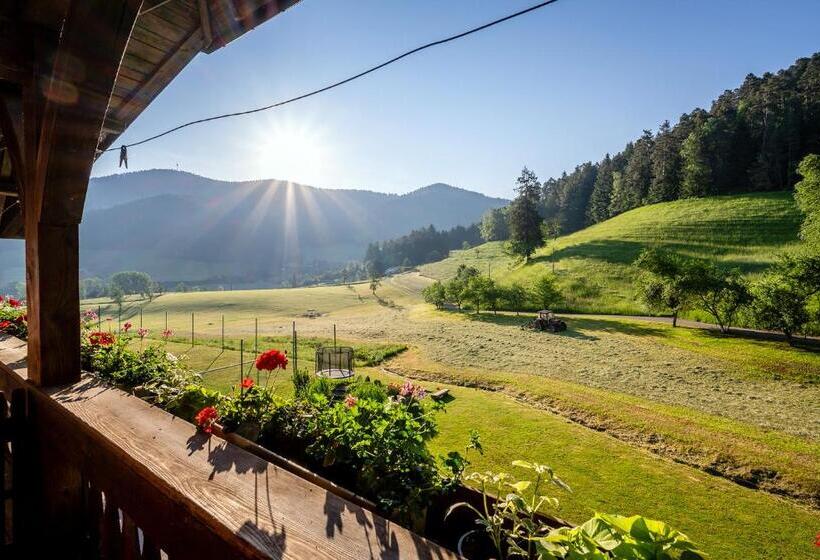 침실 2개 아파트, Blumbauernhof