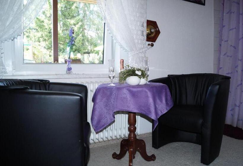 اتاق استاندارد, Pension Jagdhütte