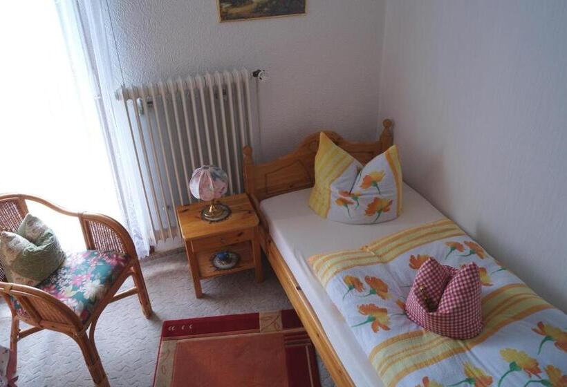 اتاق استاندارد یک تخته با سرویس بهداشتی مشترک, Pension Jagdhütte