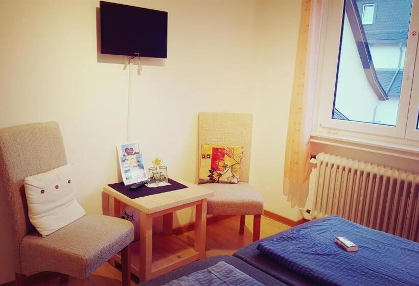 스탠다드 룸, Pension Regina/gräfenhaus