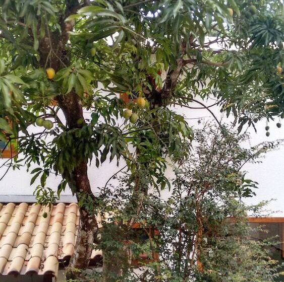 جناح سوبيريور, Villa Rica Pousada Boutique