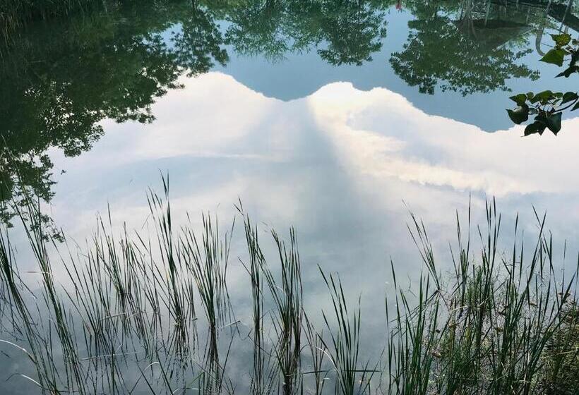 스탠다드 방갈로, Numpu Baandin