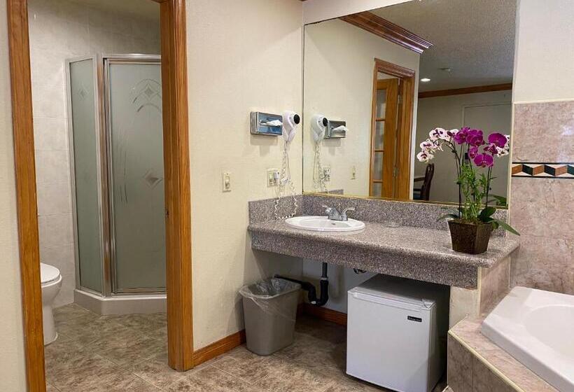 اتاق استاندارد با تخت بزرگ, Best Inn Rosemead