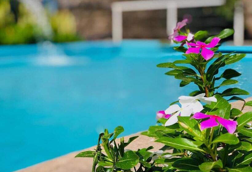 اتاق استاندارد با سرویس بهداشتی مشترک, Casa Santa Barbara Deluxe