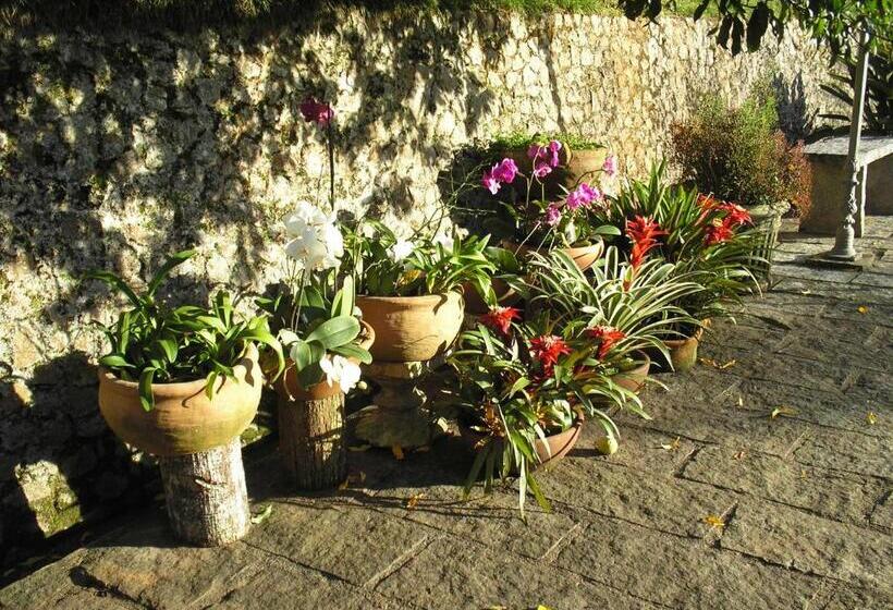 套房, Suites Em Meio A Mata Atlântica