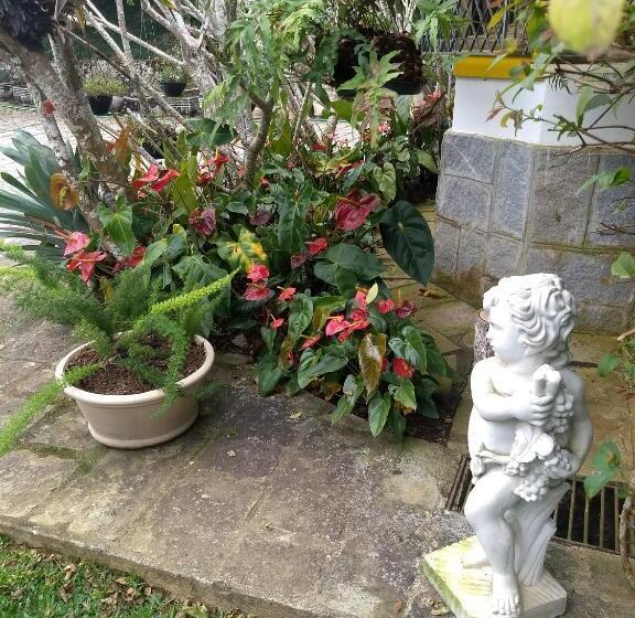 标准间, Suites Em Meio A Mata Atlântica