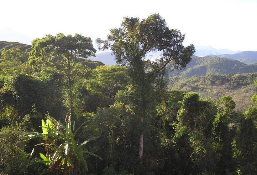 套房, Suites Em Meio A Mata Atlântica