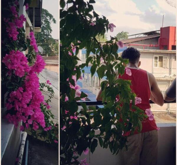 اتاق ساده سه نفره, Bhaskar Homestay