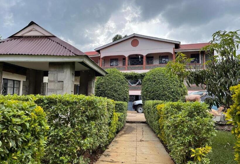 سوییت لوکس, Easy Sleep Guesthouse