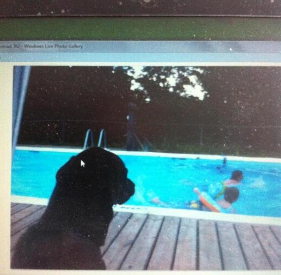 חדר סטנדרט עם מיטת קינג, Michael Dee's Motel