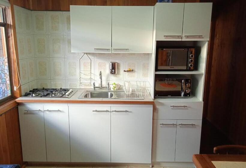 침실 2개 아파트, Hostal Mahuida