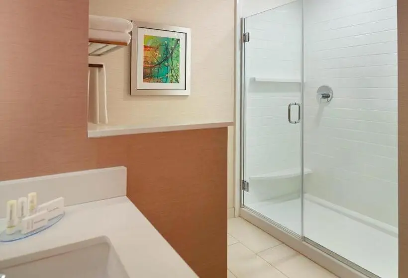 キングサイズベッドのスタンダードルーム, Fairfield Inn & Suites By Marriott Hendersonville Flat Rock