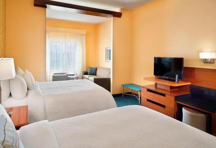スイート, Fairfield Inn & Suites By Marriott Hendersonville Flat Rock