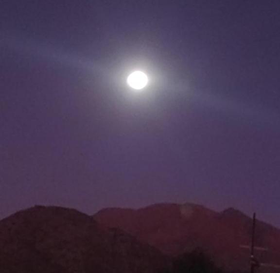 اتاق استاندارد, El Mundo Interior