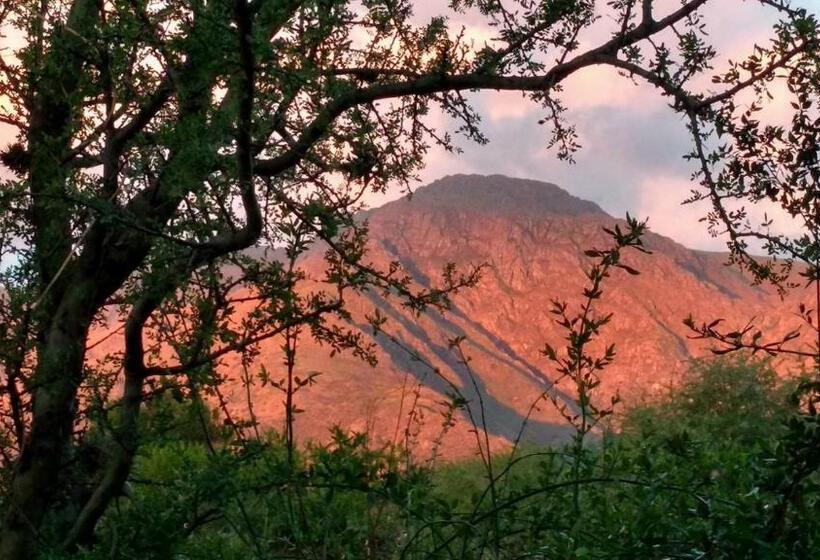 اتاق استاندارد, El Mundo Interior