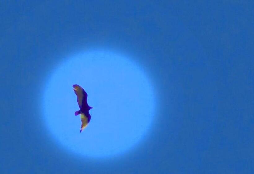 اتاق خانوادگی, El Mundo Interior