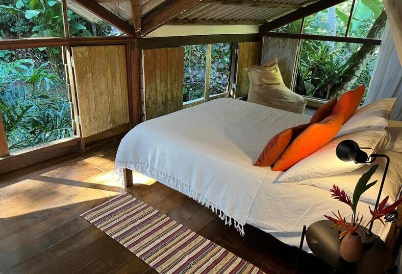 Номер Стандарт, Jungle Lodge