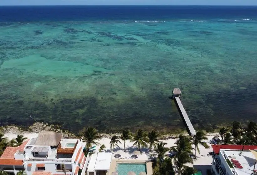آپارتمان 1 خوابه با چشم‌انداز دریا, Aparthotel Ebb Ti Kaan Tulum Luxury Condos