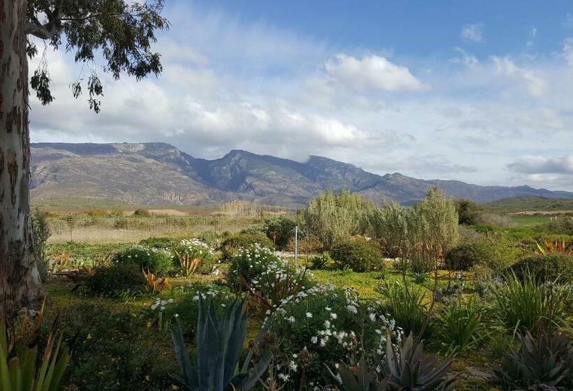 غرفة قياسية, Windfall Wine Farm