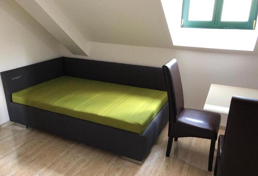 غرفة قياسية, Penzion Za Radnicí