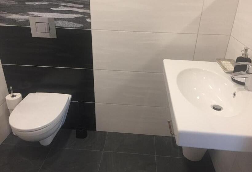 شقة غرفة نوم واحدة بالطابق الأرضى, Penzion Za Radnicí