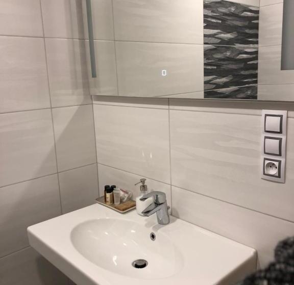 شقة غرفة نوم واحدة بالطابق الأرضى, Penzion Za Radnicí