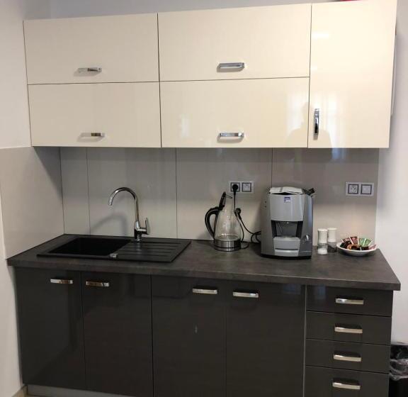 شقة غرفة نوم واحدة بالطابق الأرضى, Penzion Za Radnicí