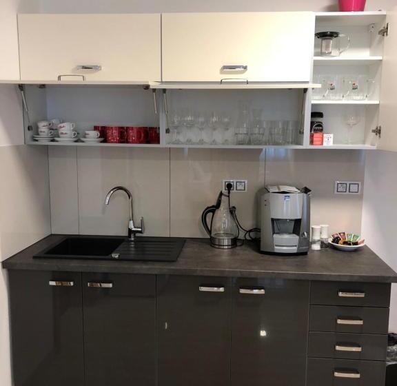 شقة غرفة نوم واحدة بالطابق الأرضى, Penzion Za Radnicí