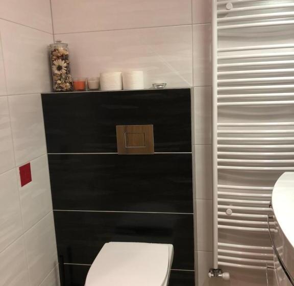 شقة سوبريور غرفة واحدة, Penzion Za Radnicí