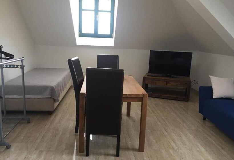 شقة سوبريور غرفة واحدة, Penzion Za Radnicí