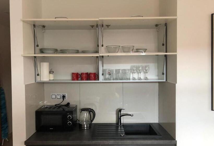 شقة سوبريور غرفة واحدة, Penzion Za Radnicí