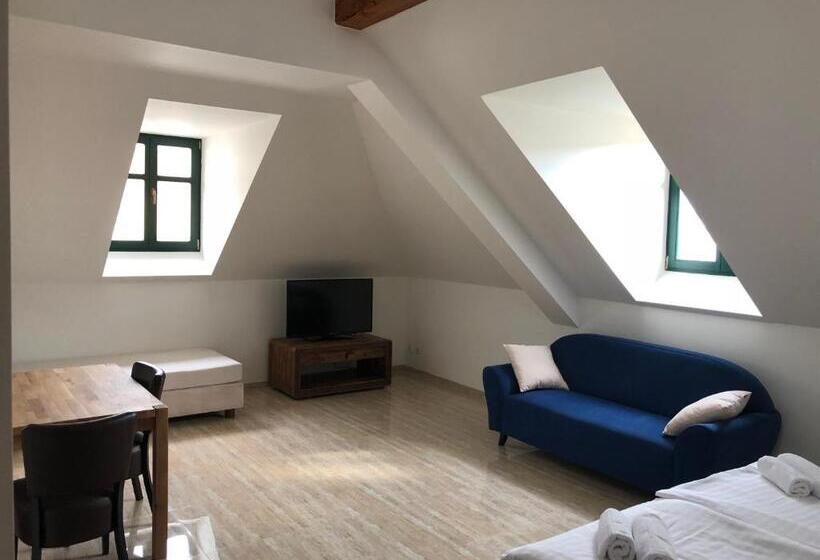 شقة سوبريور غرفة واحدة, Penzion Za Radnicí