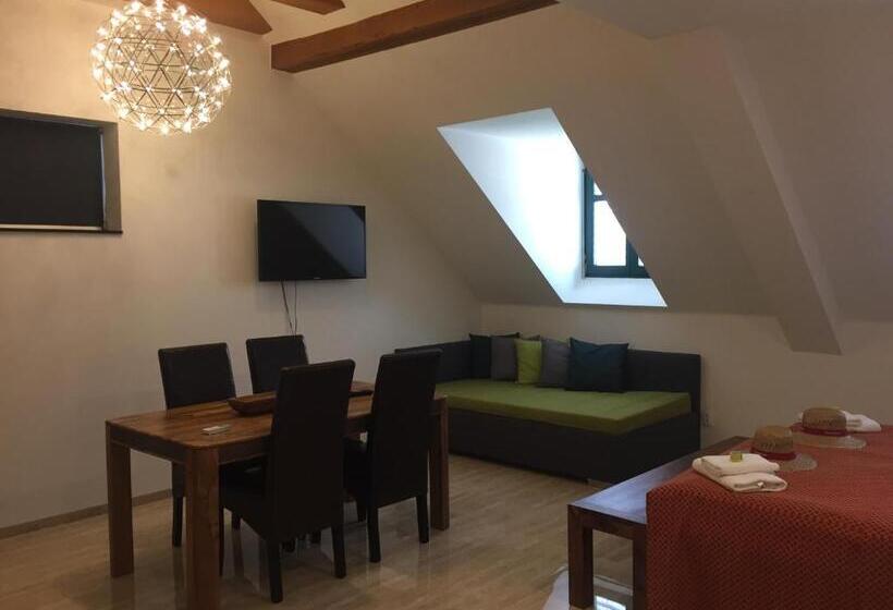 شقة ديلوكس غرفة واحدة, Penzion Za Radnicí