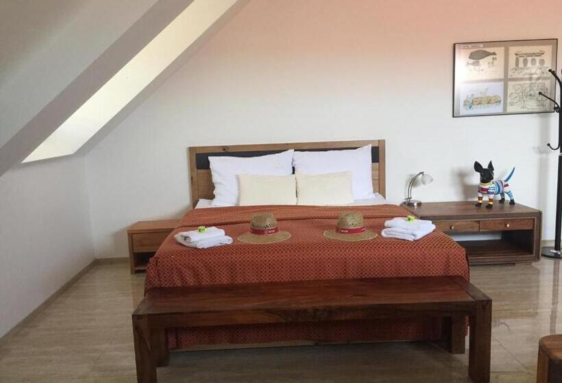 شقة ديلوكس غرفة واحدة, Penzion Za Radnicí