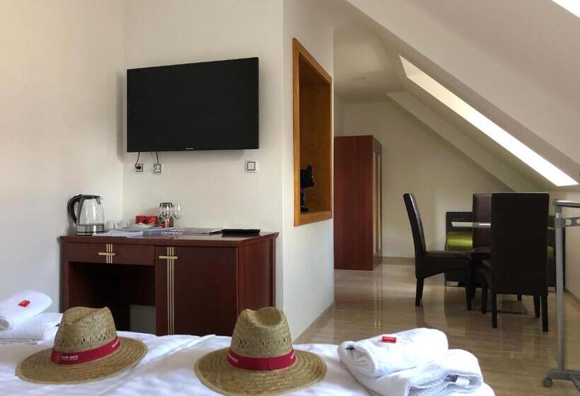 غرفة قياسية, Penzion Za Radnicí