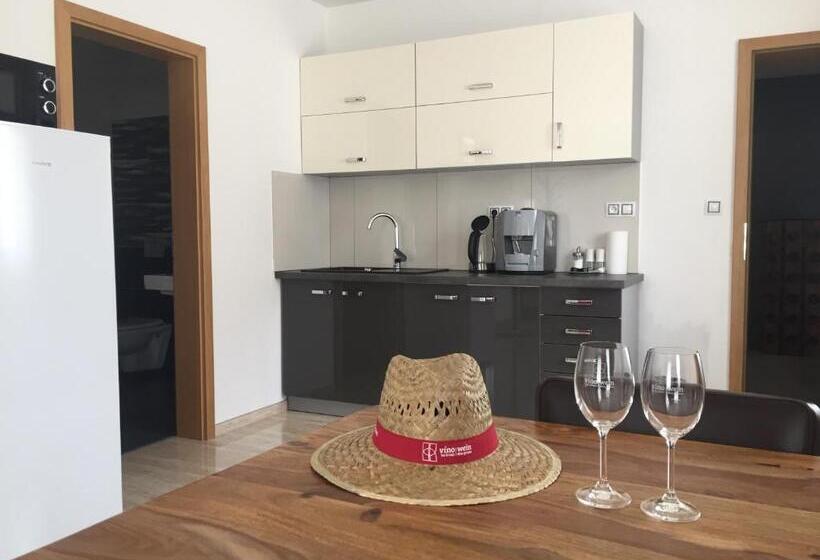 شقة غرفة نوم واحدة بالطابق الأرضى, Penzion Za Radnicí