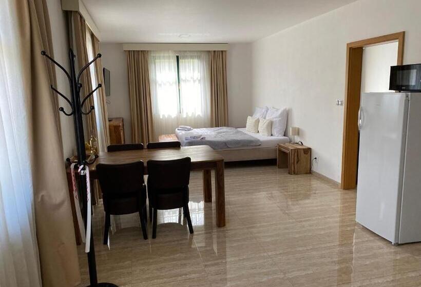 شقة غرفة نوم واحدة بالطابق الأرضى, Penzion Za Radnicí