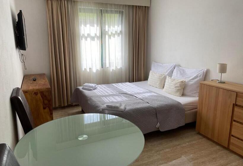 شقة غرفة نوم واحدة بالطابق الأرضى, Penzion Za Radnicí