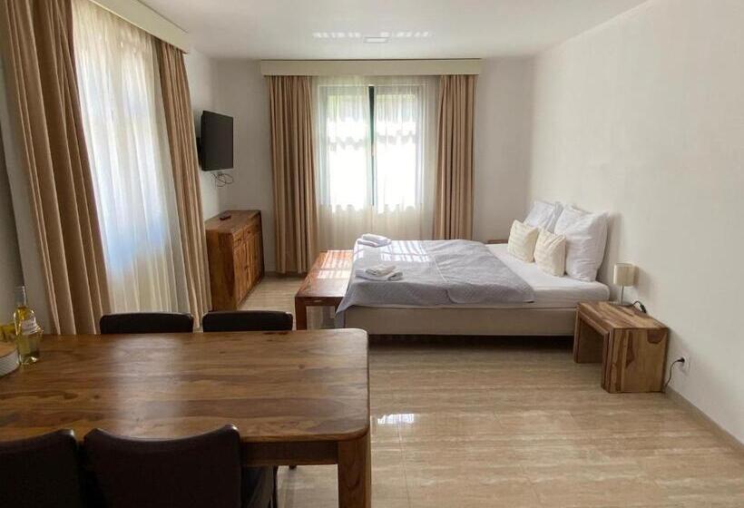 شقة غرفة نوم واحدة بالطابق الأرضى, Penzion Za Radnicí