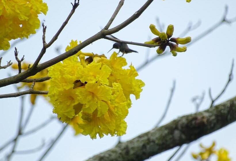 ２ベッドルームハウス, Santamaría Hotel Bed And Breakfast