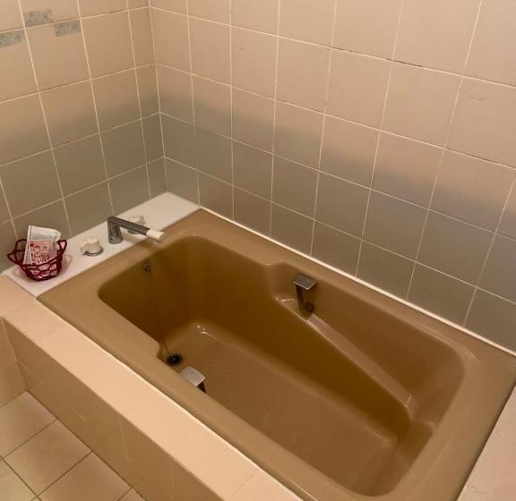 חדר סטנדרט, Restay Choshi Aine