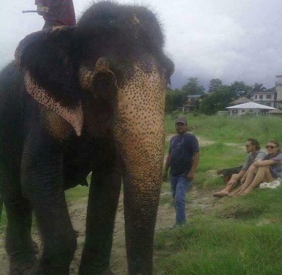 غرفة إقتصادية, Happy Homestay