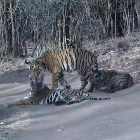 غرفة إقتصادية, Happy Homestay