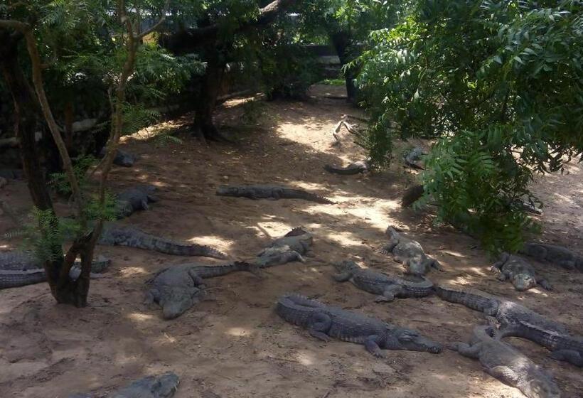 غرفة إقتصادية, Happy Homestay