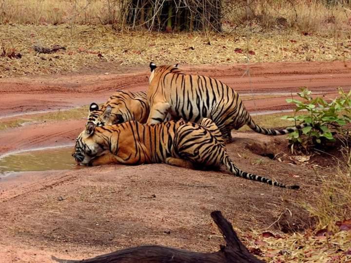 غرفة ديلوكس فردية, Happy Homestay